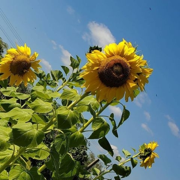 Meet your Posher, Katherine - Picture 1 of 1